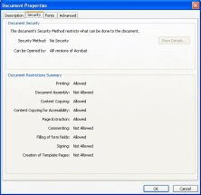 Security settings for the document