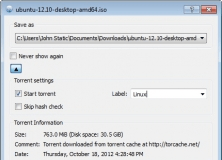 Add a torrent file to the download queue