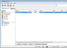 Downloading a torrent file
