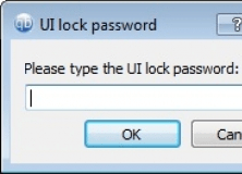Password protected UI
