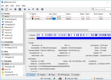 General Torrent Data