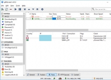 Peers Data