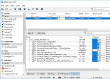 Torrent Contents