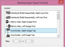 Stereoscopic Input Format
