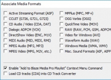 Associate Media Formats