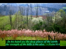 Spring with Bible Verses-Another sample screen