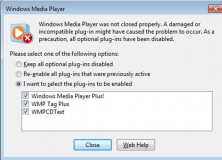 Enhanced Windows Media Player Crash Screen