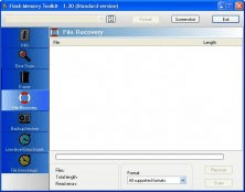 File recovery window