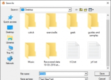 Saving Translation as Text File