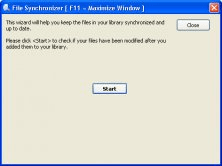 File Synchronizer Window