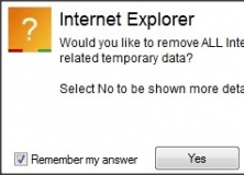 Internet Explorer Optimization
