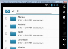 File Manager Within the Emulated Device