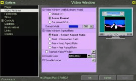 Video window