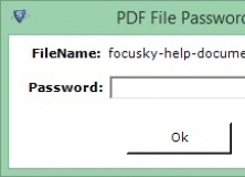 PDF File Password