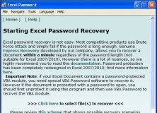 "Starting Excel Password Recovery" Screen