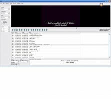 Video and Subtitling interface
