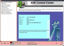 Example remote session