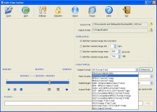 Formats Supported
