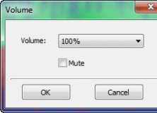 Adjusting Volume