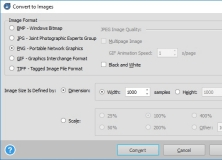Convert to Images Settings