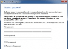 Creating Access Password