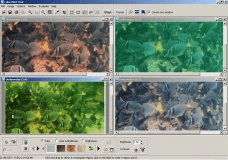 Comparing Effects