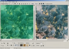 Scanned Photo (Before&After Enhancement))