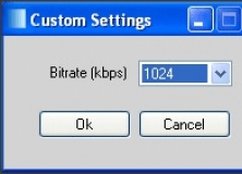 Audio Bit Rate Customization