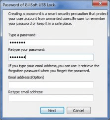 Password entry screen