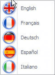 Choose language menu