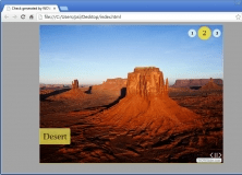 A Gallery Viewed in Browser