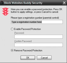 Password protection