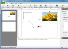 Project Window