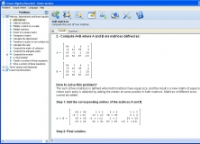 Results Window