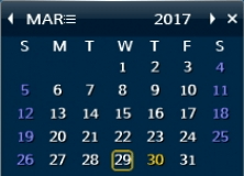 Calendar Window