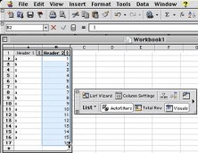 microsoft works spreadsheet format