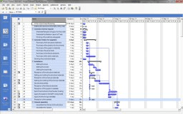 A project view in the Gantt mode