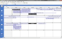 The project in Calendar view