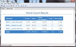 Word Count Report