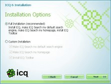 ICQ Installation Options