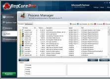 Process Manager