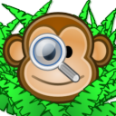 Searchmonkey