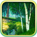 Summer Forest 3D Screensaver and Animated Wallpaper