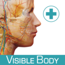 Visible Body Anatomy &amp; Function