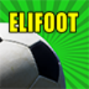 Elifoot 2014