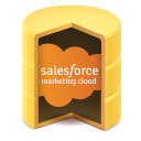 Devart ODBC Driver for Salesforce Marketing Cloud