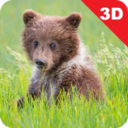 Animals for Kids 3D