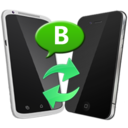 Backuptrans WhatsApp Business Transfer
