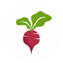 Beet