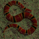 SnakeWorld Game